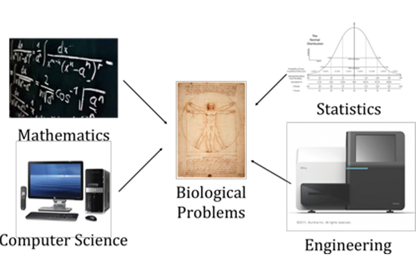 bioinformatics